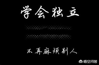 今日科普一下！整条街黑底白字招牌,百科词条爱好_2024最新更新