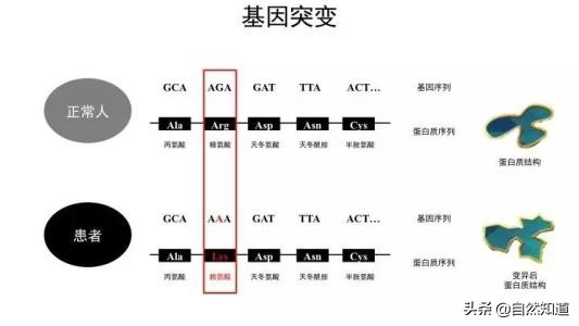 今日科普一下！深圳再现千人抢房子,百科词条爱好_2024最新更新