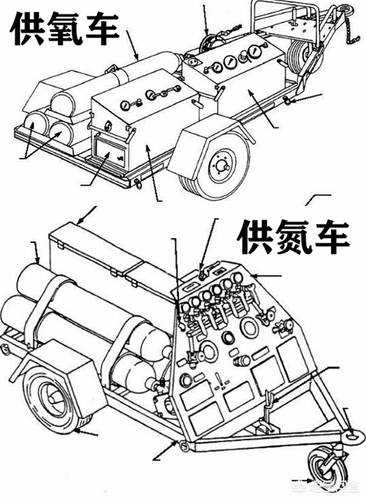 今日科普一下！年轻人反向驯大数据,百科词条爱好_2024最新更新