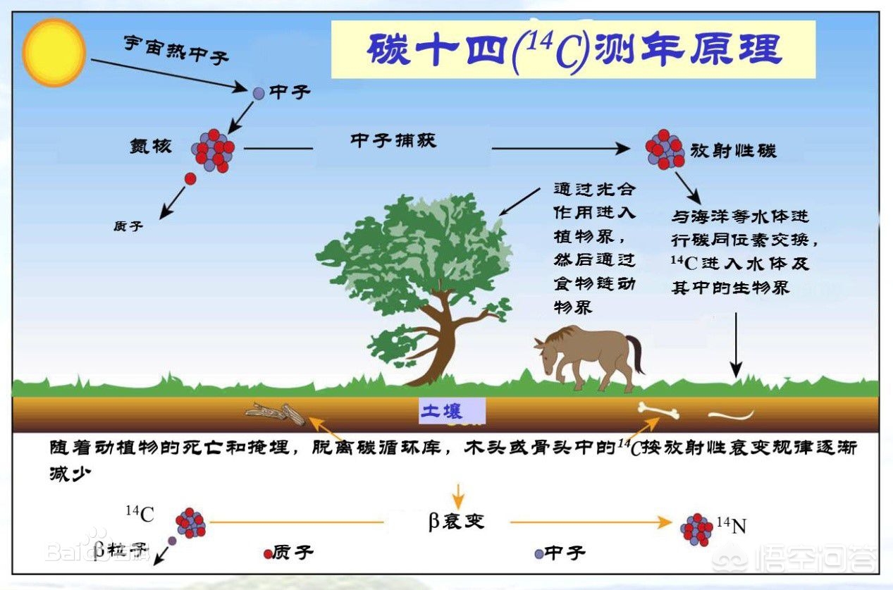 今日科普一下！首个月背古磁场信息,百科词条爱好_2024最新更新