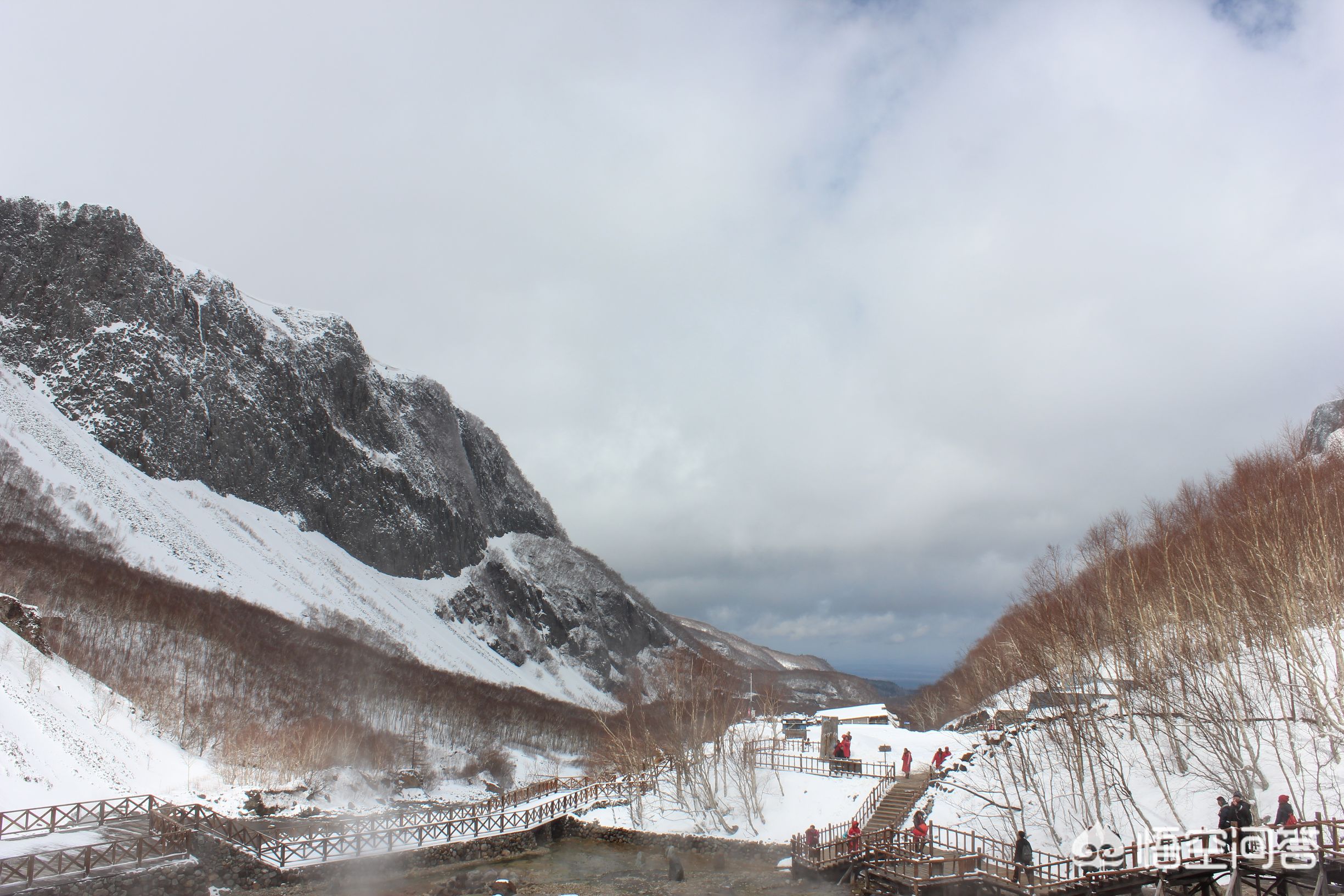 今日科普一下！黑悟空雪雕修复了,百科词条爱好_2024最新更新