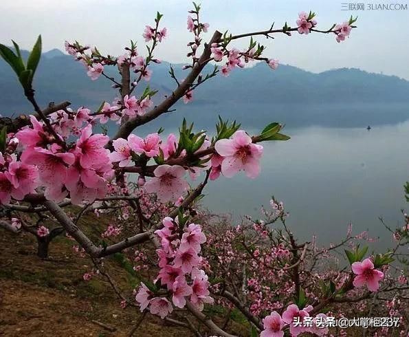 今日科普一下！学生上课睡觉罚老师,百科词条爱好_2024最新更新