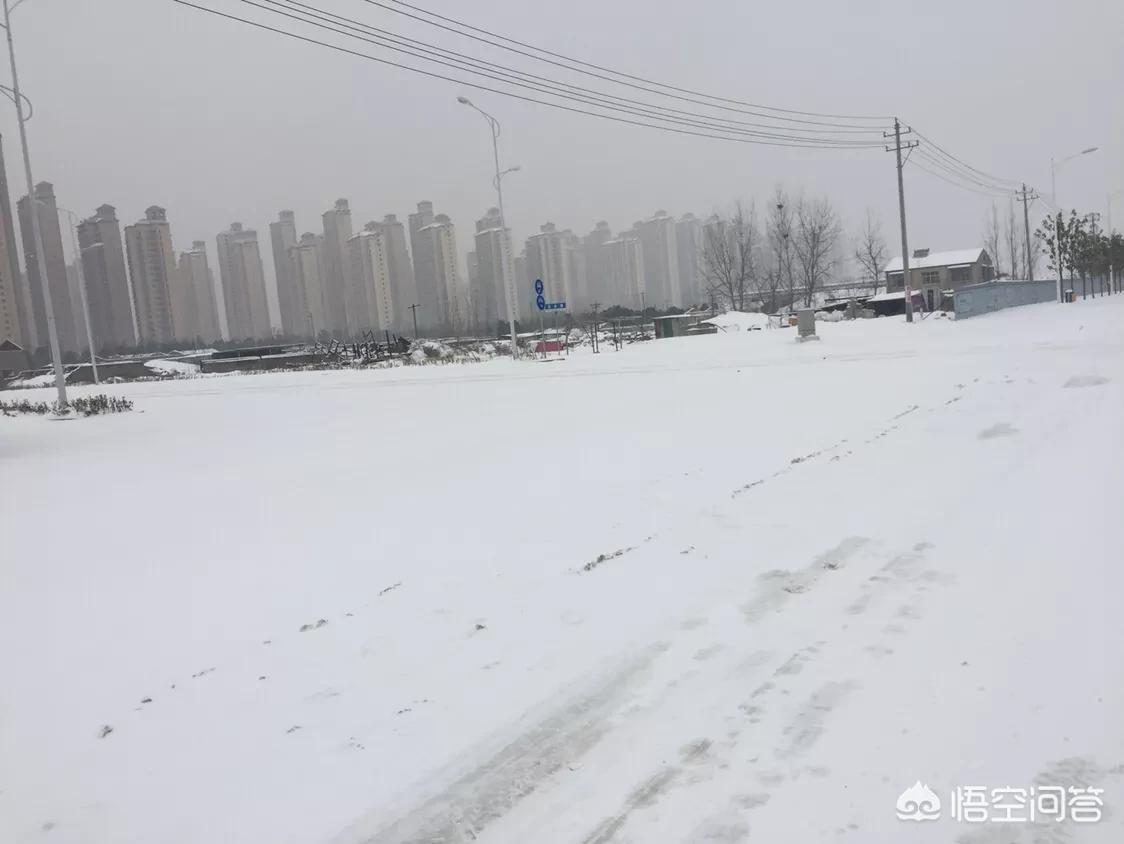 今日科普一下！中国游客滑雪时遇难,百科词条爱好_2024最新更新