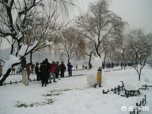 今日科普一下！中国游客滑雪时遇难,百科词条爱好_2024最新更新