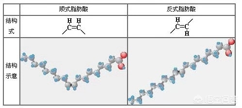 今日科普一下！卖羊肉老太发声,百科词条爱好_2024最新更新