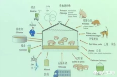 今日科普一下！专家辟谣致晕毒株,百科词条爱好_2024最新更新