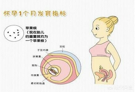 今日科普一下！生娃忍宫缩紧急化妆,百科词条爱好_2024最新更新