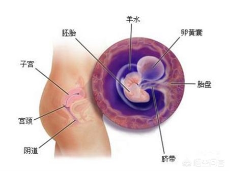 今日科普一下！生娃忍宫缩紧急化妆,百科词条爱好_2024最新更新