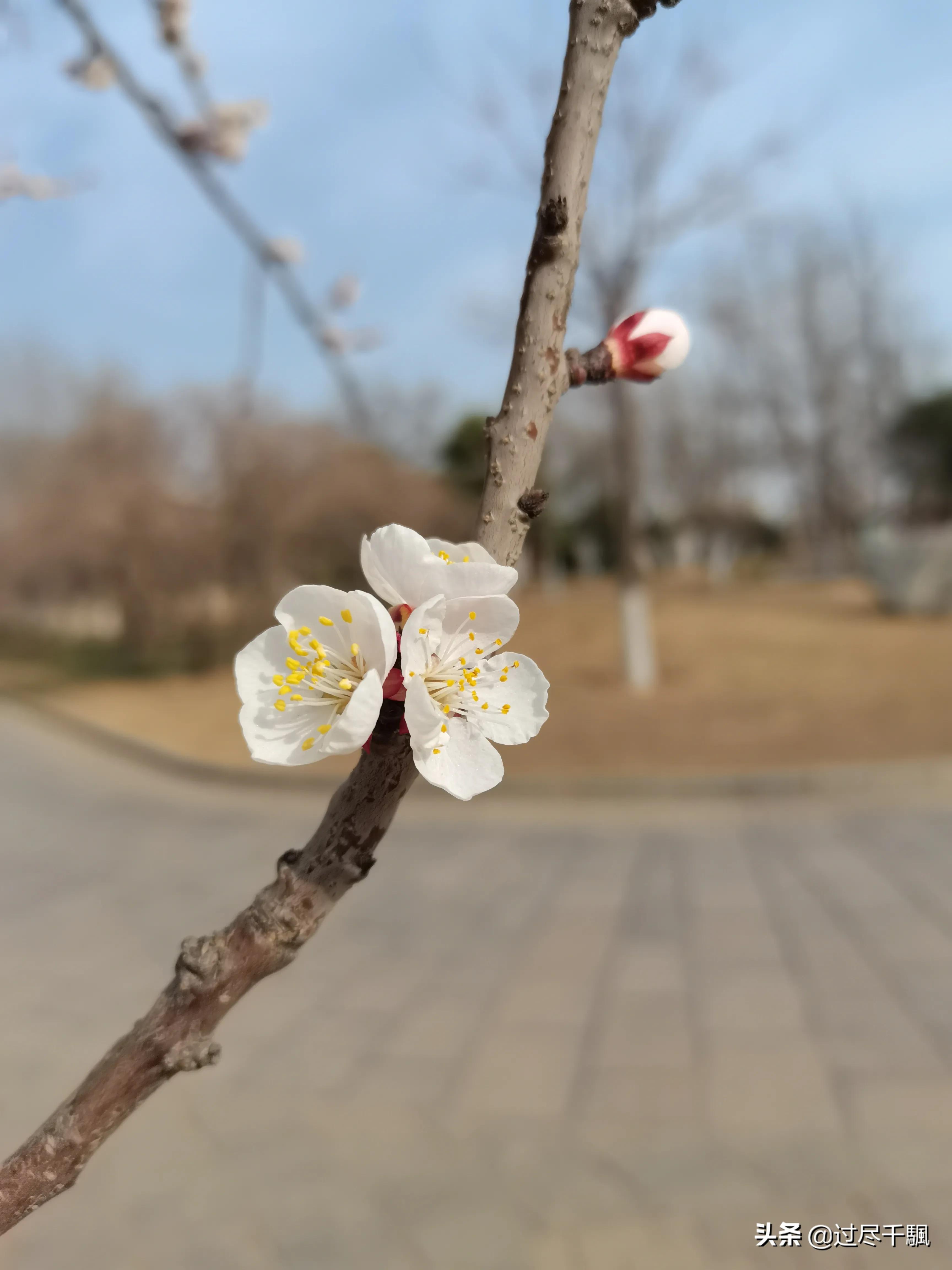 今日科普一下！请跑腿送孩子上学,百科词条爱好_2024最新更新