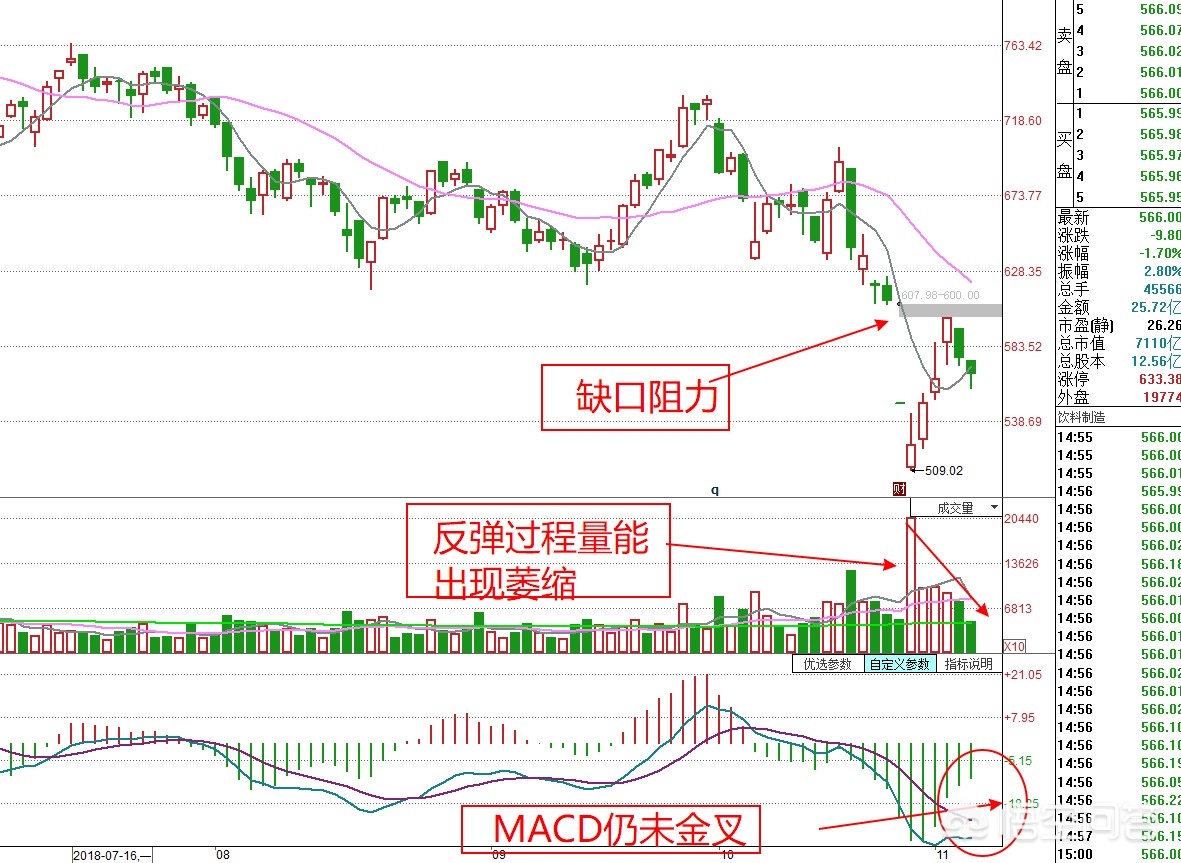 今日科普一下！茅台市场价接近腰斩,百科词条爱好_2024最新更新