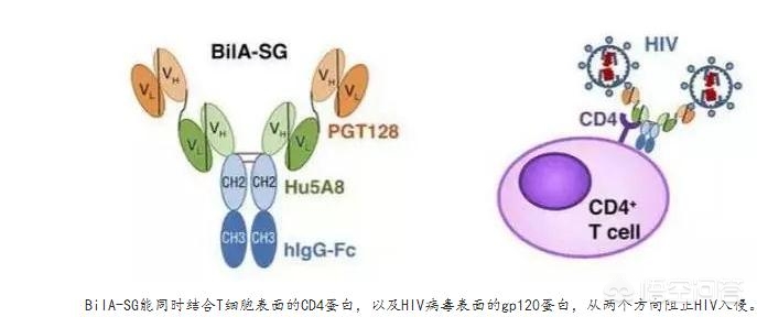 今日科普一下！百分百预防艾滋药物,百科词条爱好_2024最新更新