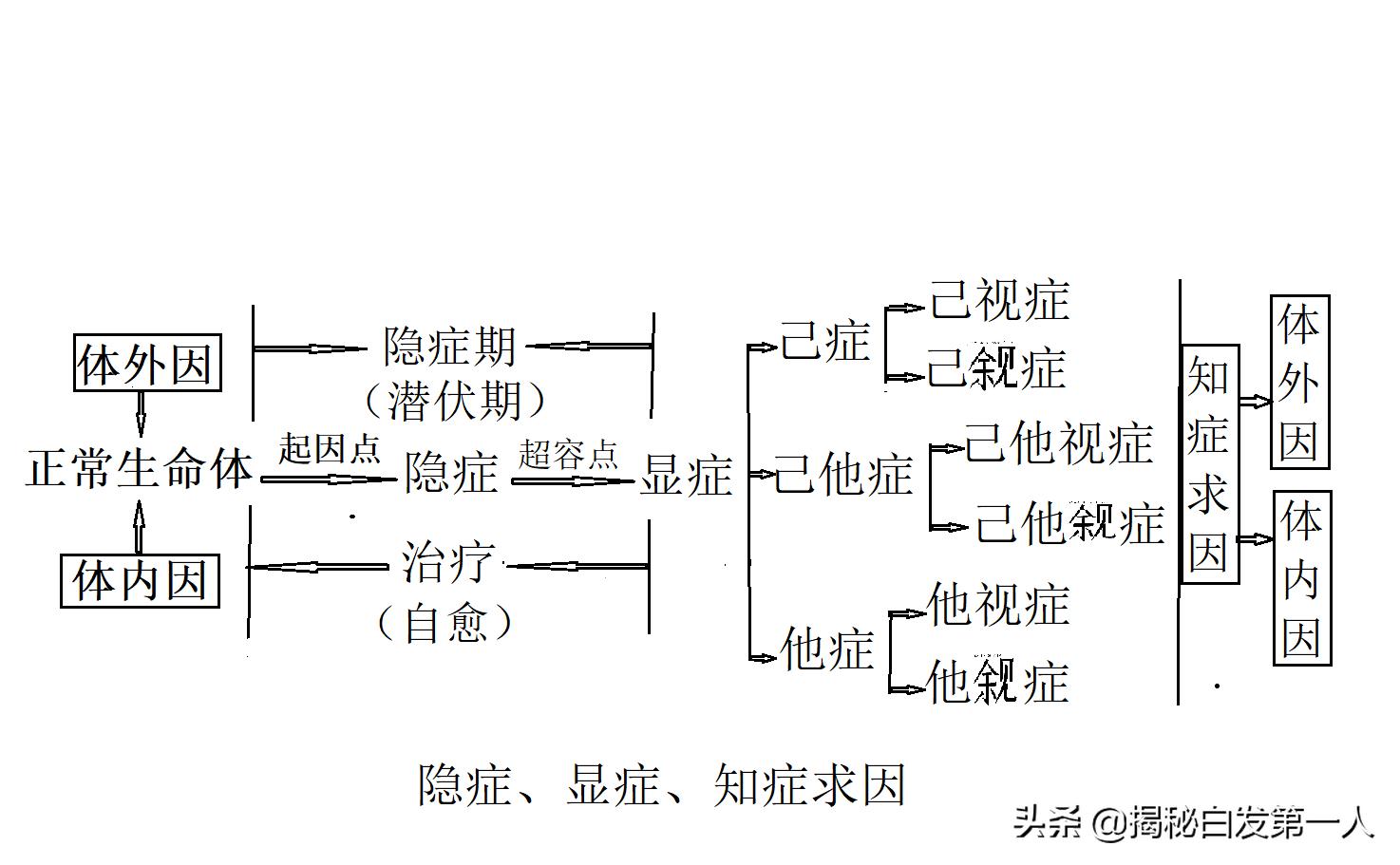 今日科普一下！白头发为什么不能拔,百科词条爱好_2024最新更新