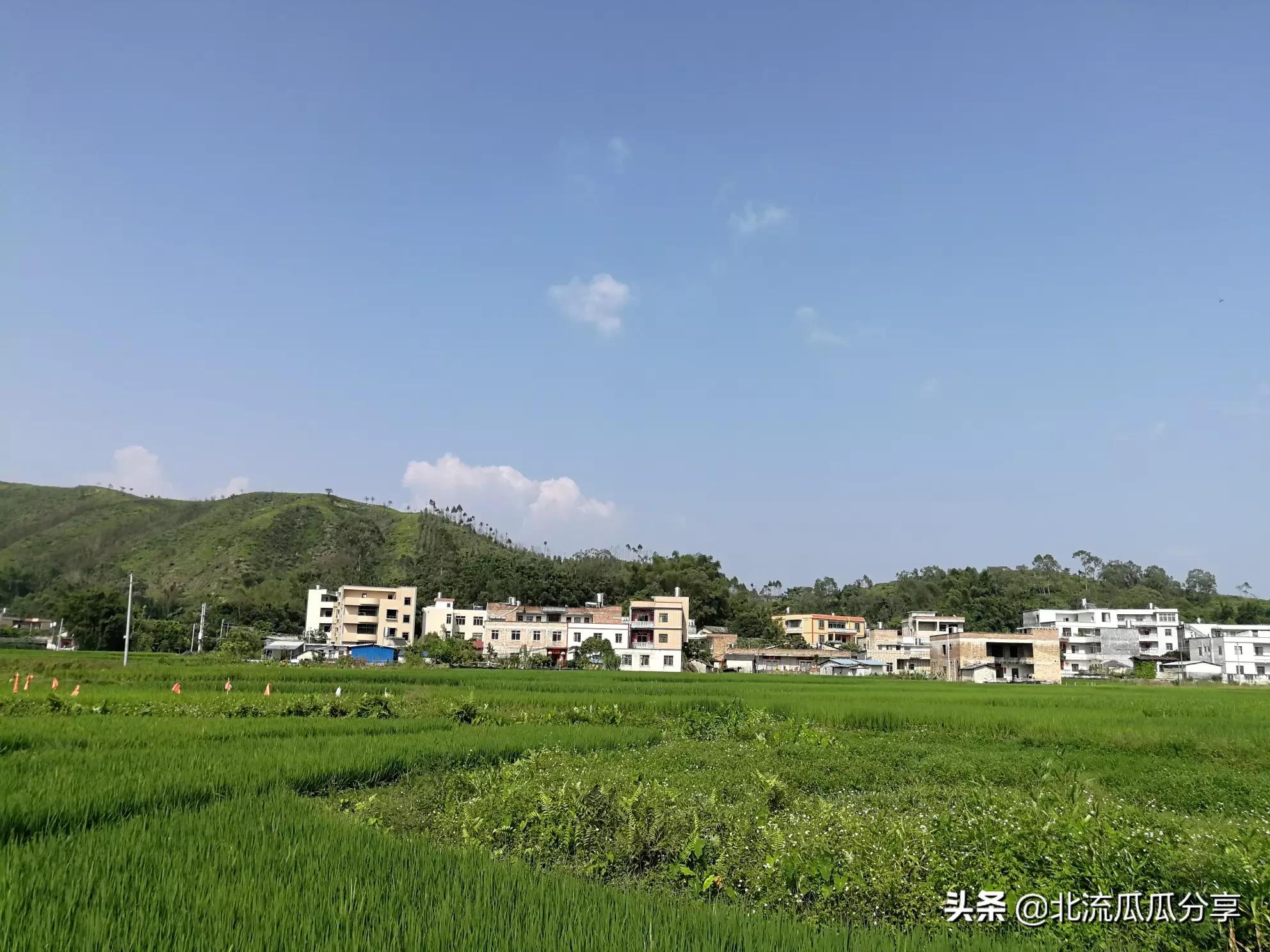 今日科普一下！失联女学生遗体找到,百科词条爱好_2024最新更新