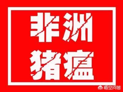 今日科普一下！广西小伙娶非洲媳妇,百科词条爱好_2024最新更新