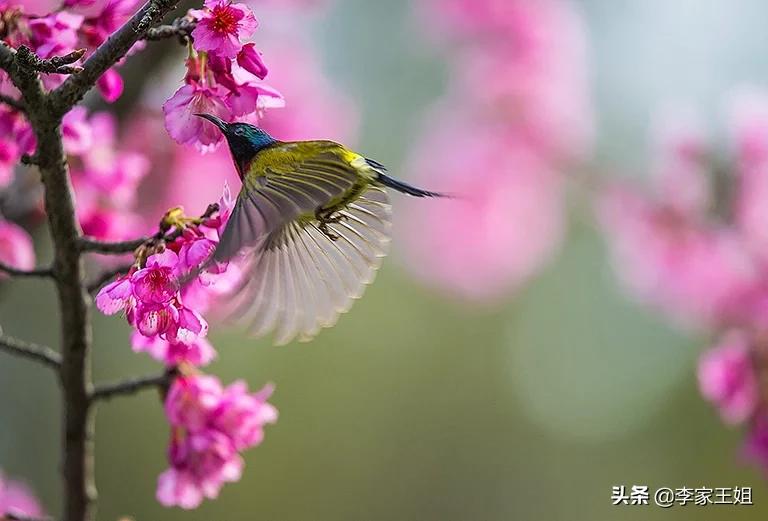 今日科普一下！立春躲春的正确方式,百科词条爱好_2024最新更新