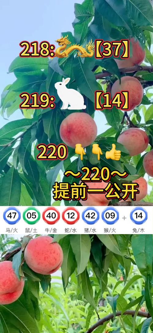 科普二下！澳门免费一肖一码最准的_2025最早更新澳彩资料网
